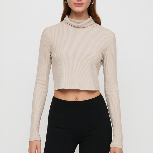 Aritzia Wilfred Free Ribbed Mock Neck Crop Top Sweater - Picture 1 of 5